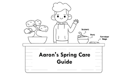 Aaron's Spring Care Guide
