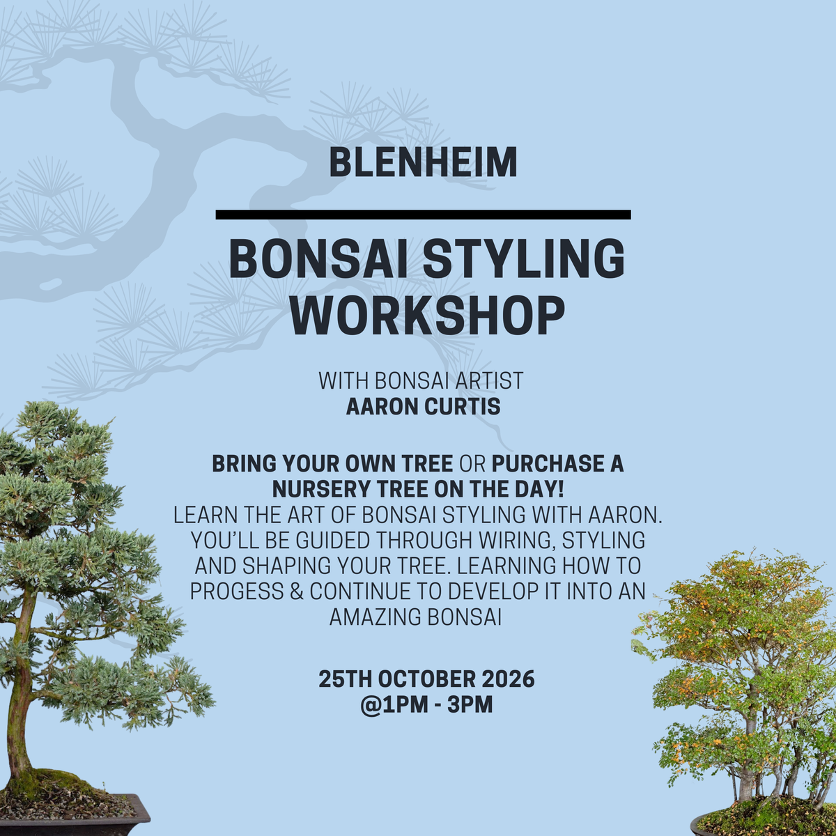 BLENHEIM- Bonsai Styling-Workshop- 25th October @1pm
