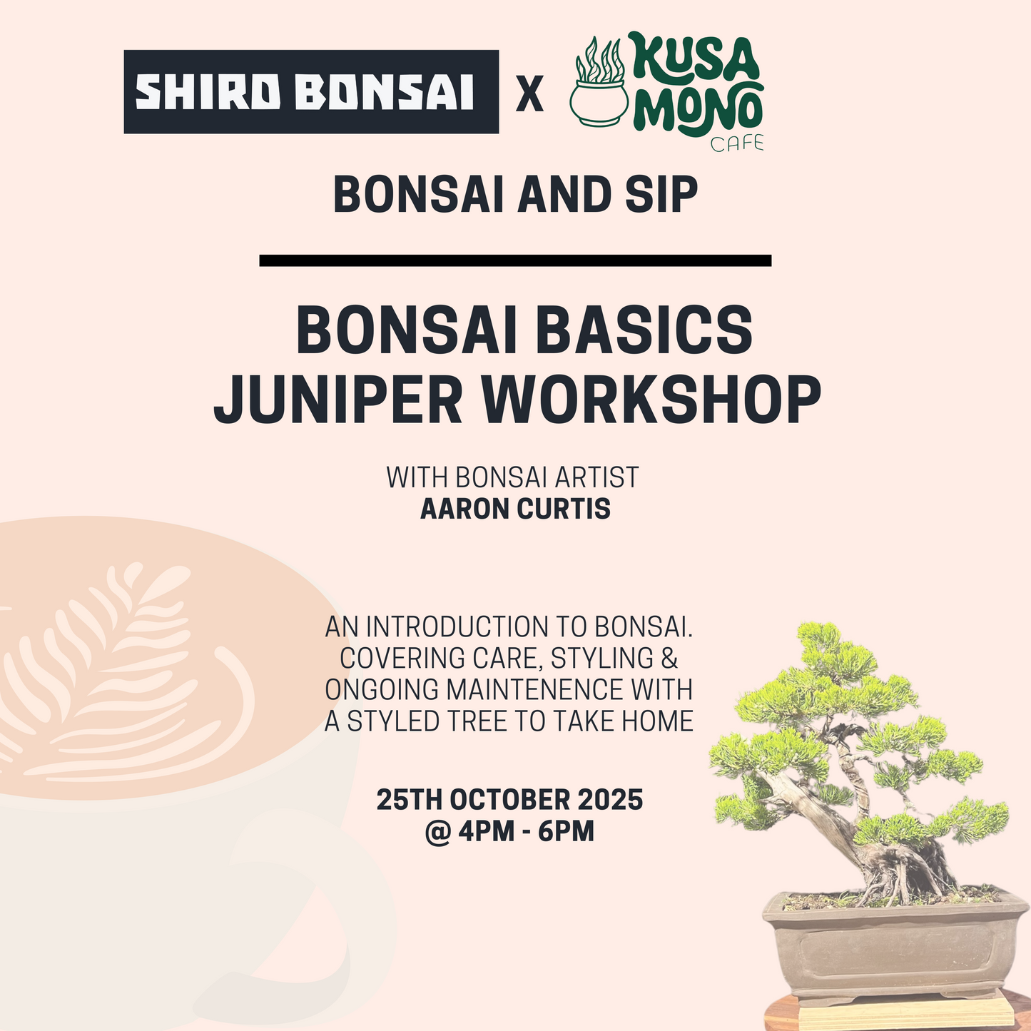 Bonsai Basics Juniper Workshop- 25th October