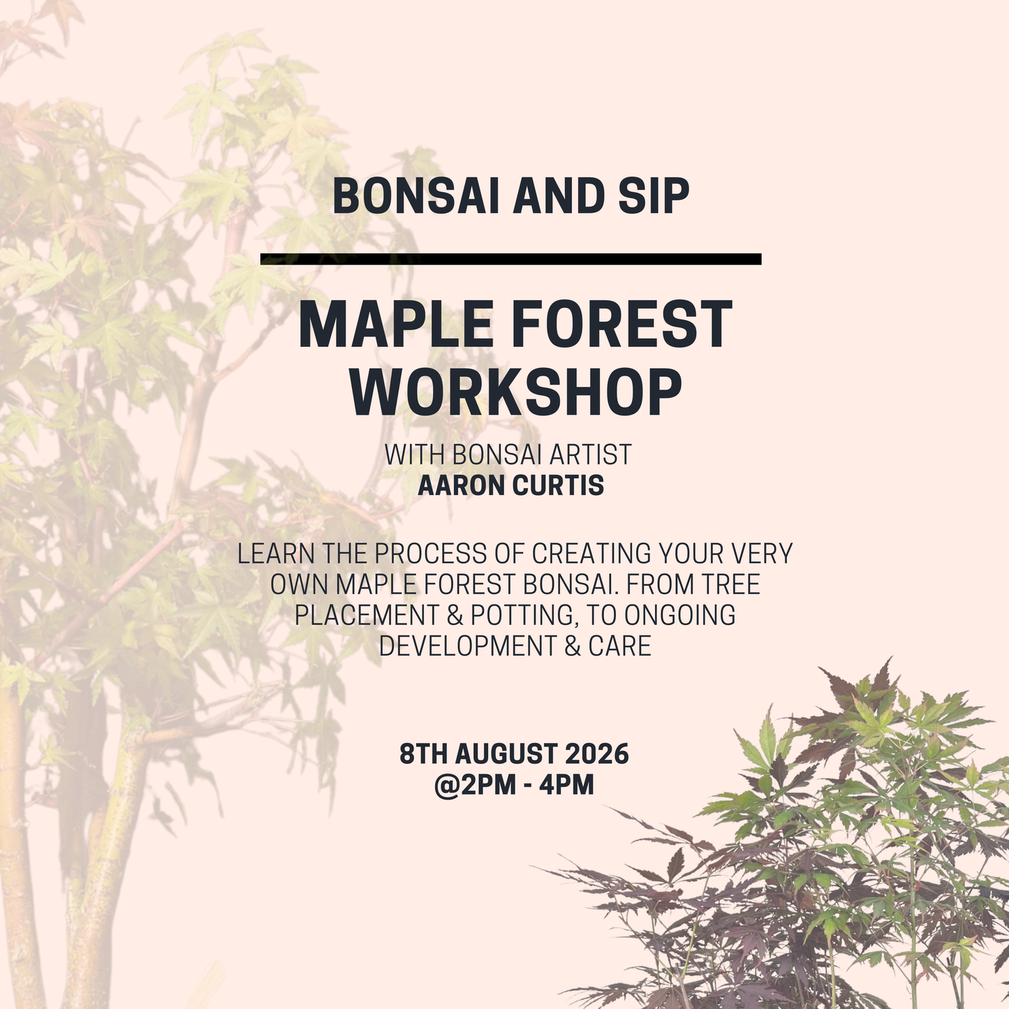 Maple Forest Workshop- 8th August 2pm - 4pm