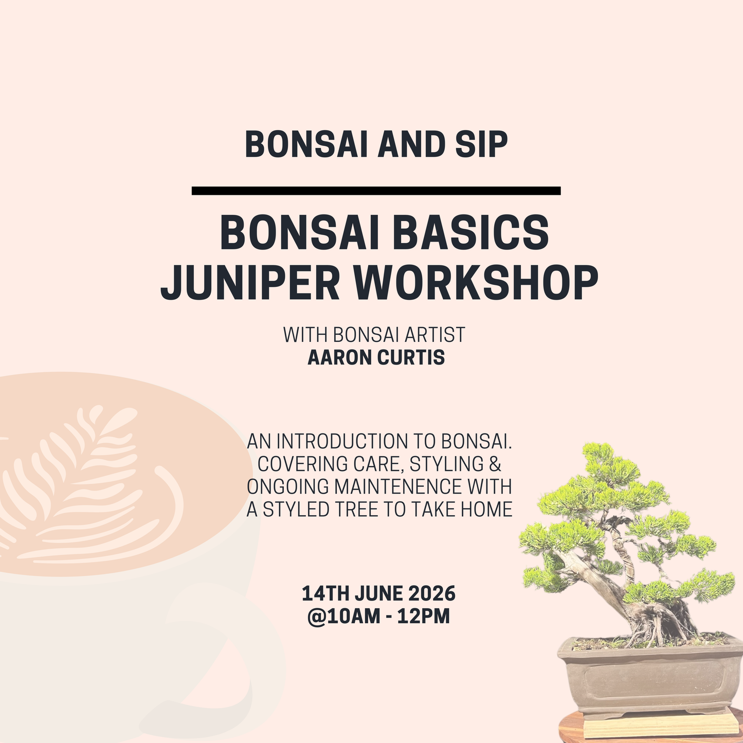 Bonsai Basics Juniper Workshop- 14th June 10am