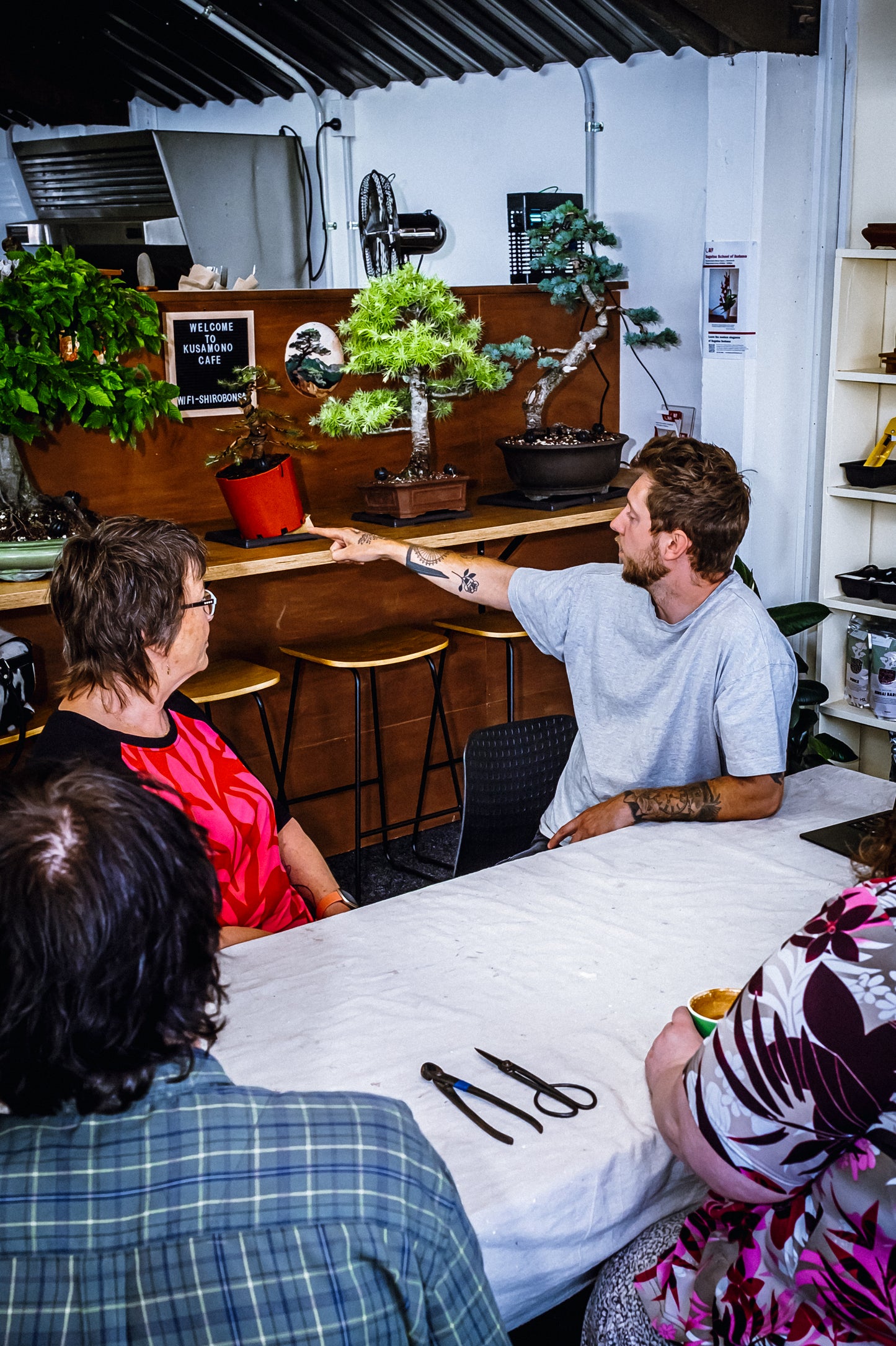 6 Week Beginners Bonsai Course - Starting 8th July 2025
