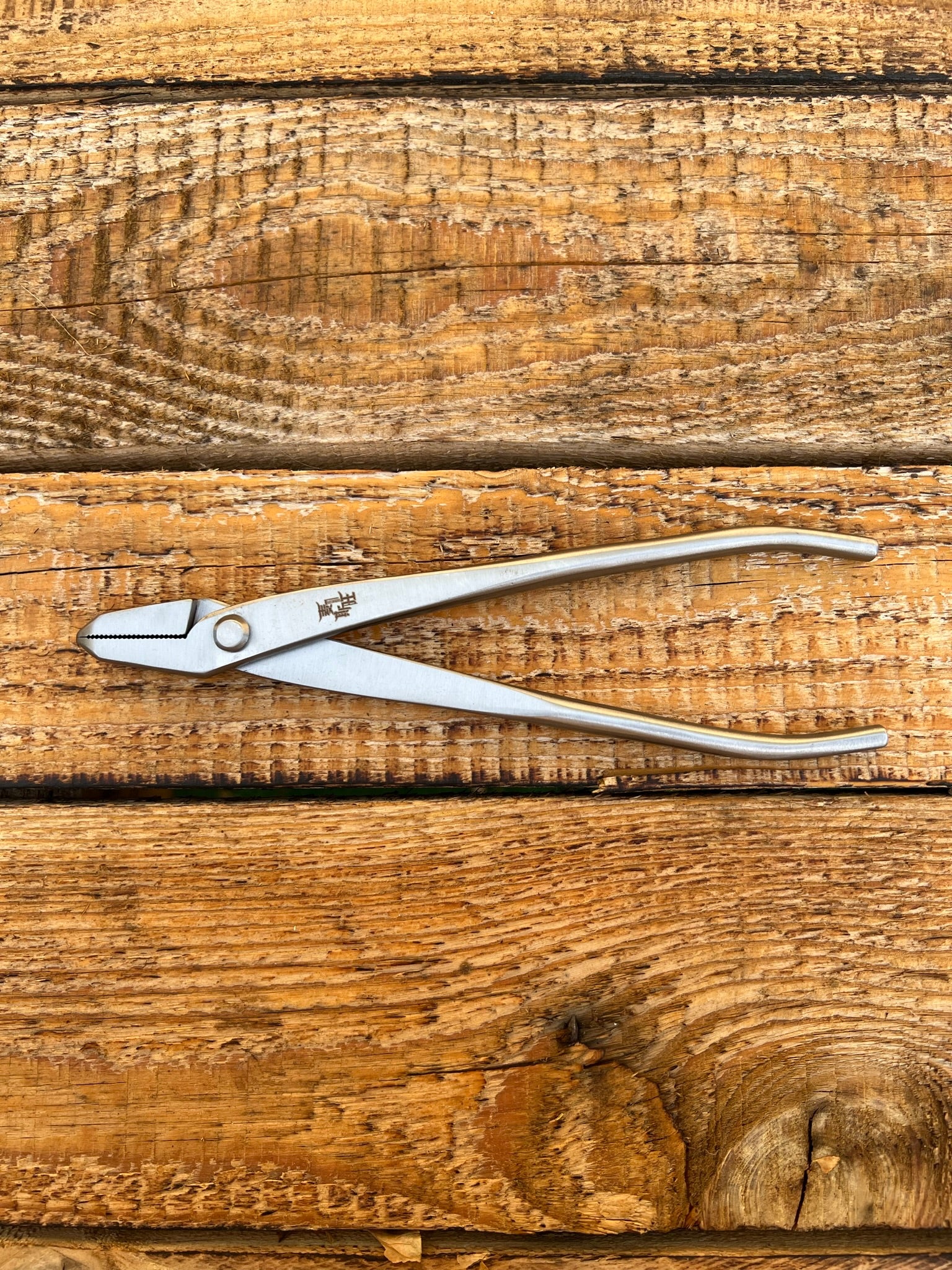 High Quality Stainless Steel Jin Pliers Shiro Bonsai