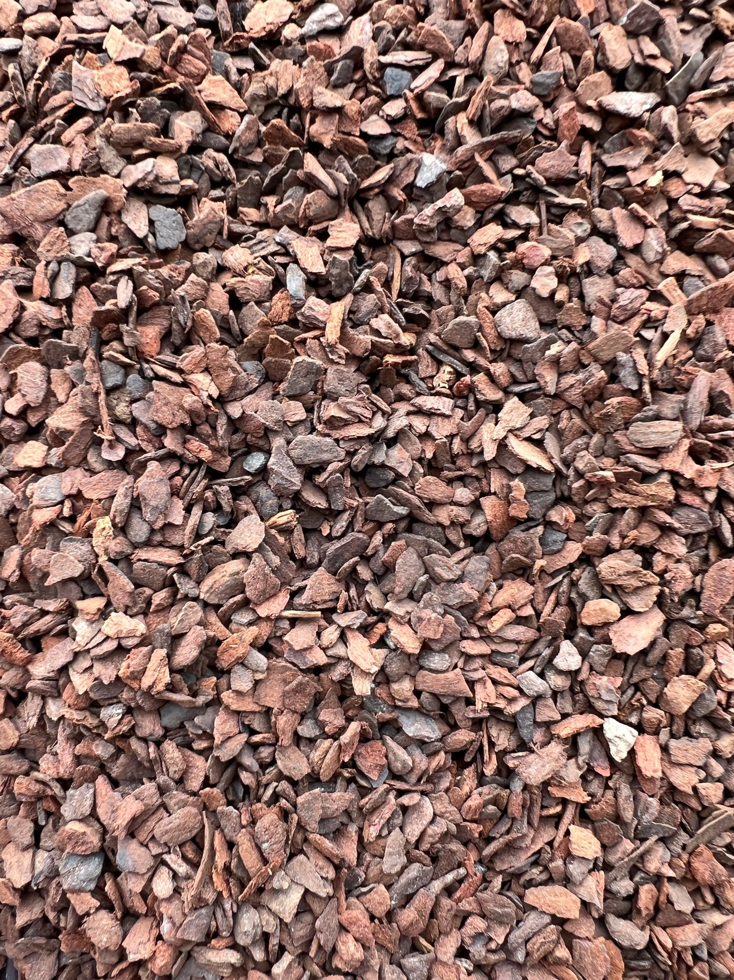 3-6mm Bonsai Pine Bark