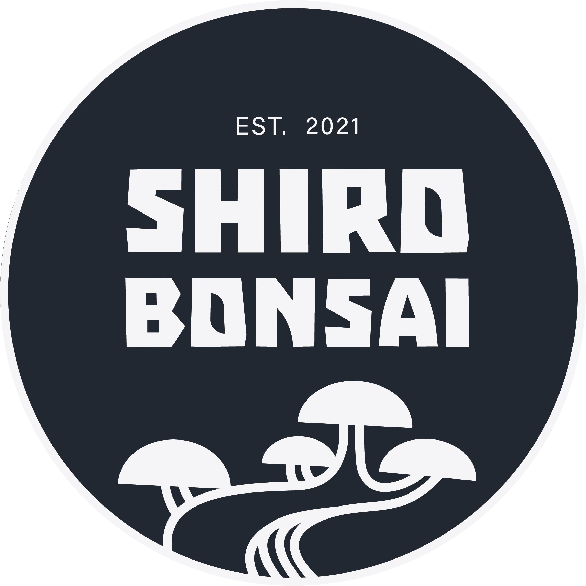Shiro Bonsai