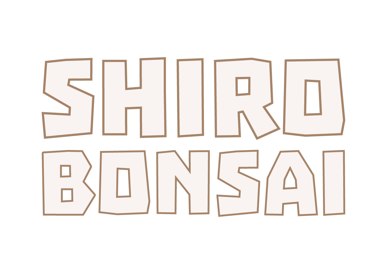 Shiro Bonsai