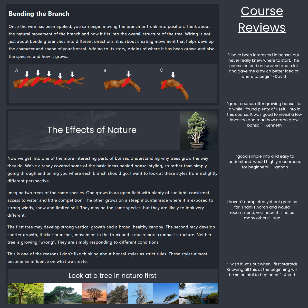 The Bonsai Basics Online Course