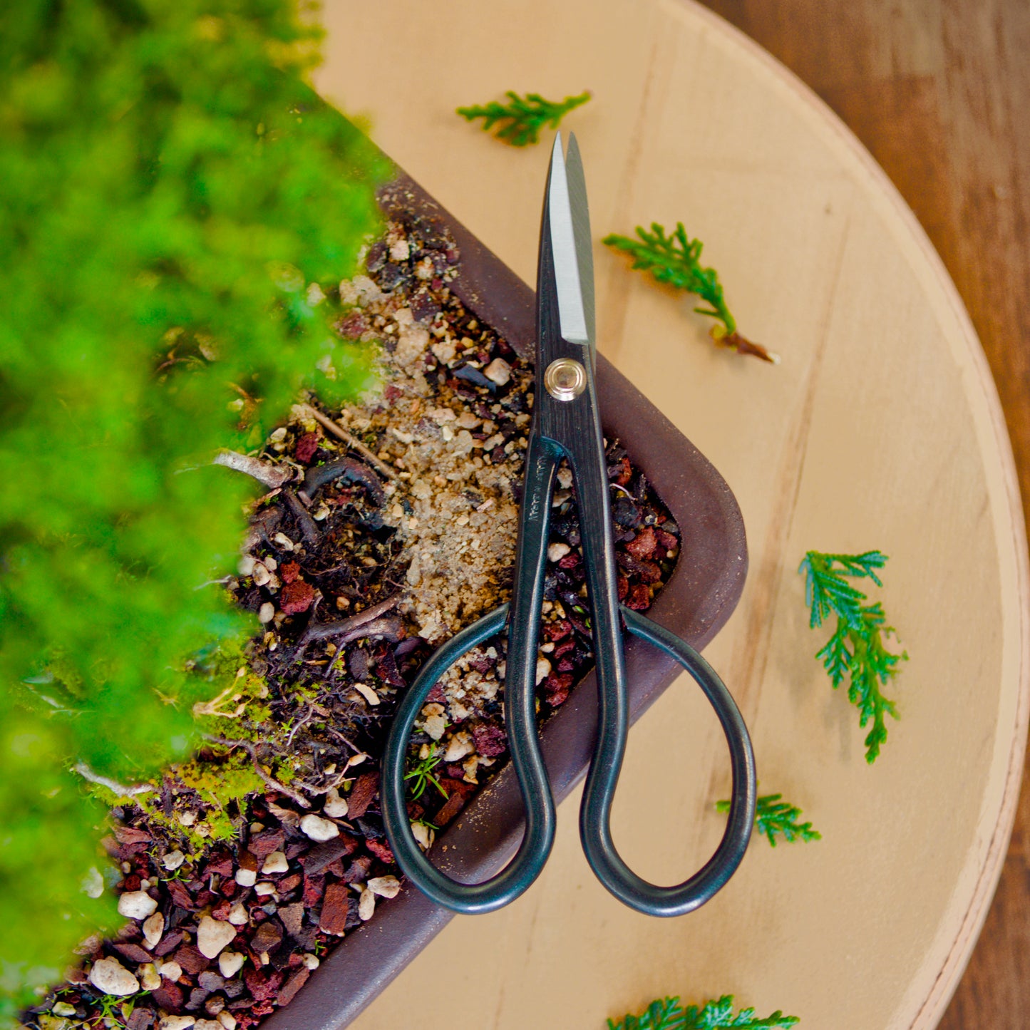 KIKUWA Satsuki Scissors S -Made in Japan