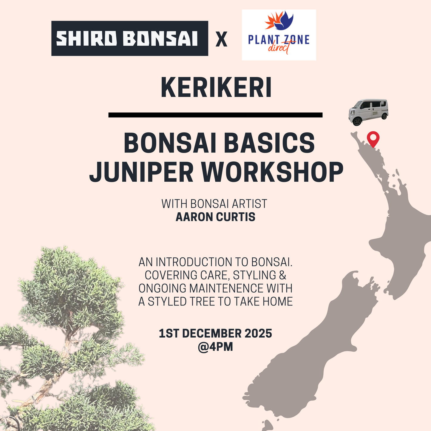 Bonsai Basics Juniper Workshop- 1st December @4pm