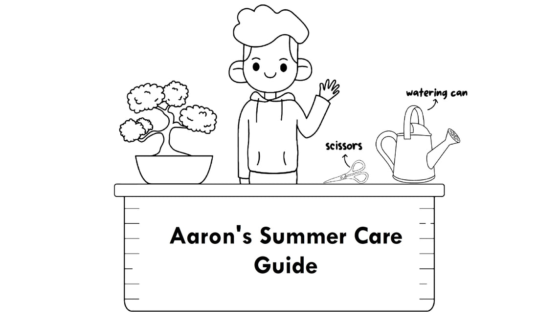 Aaron's Summer Care Guide