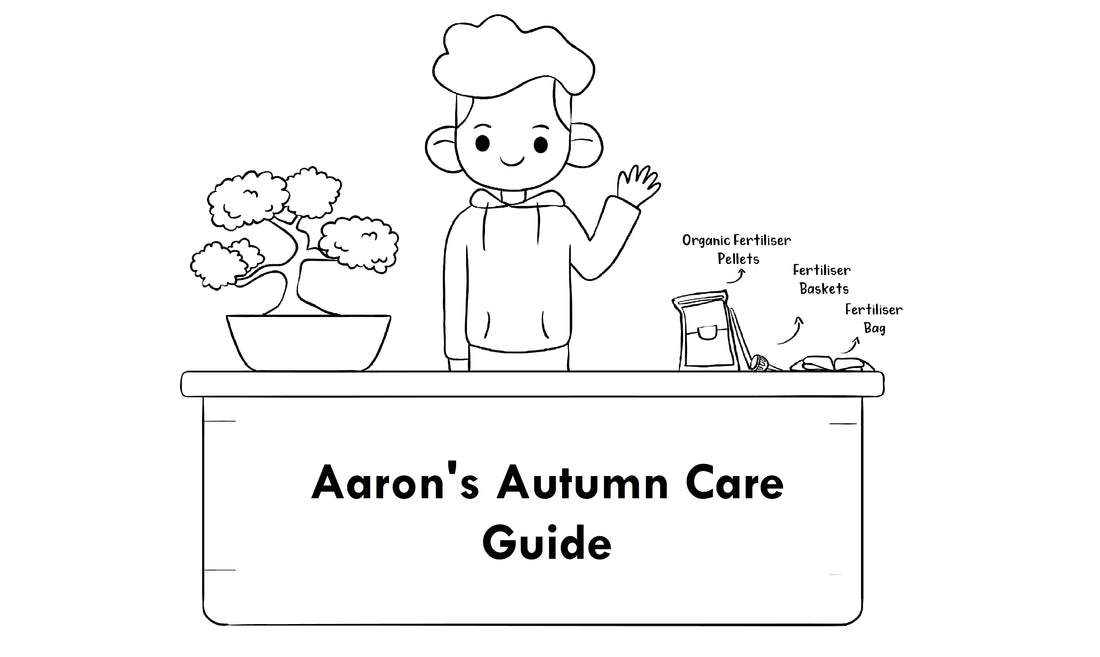 Aaron's Autumn Care Guide
