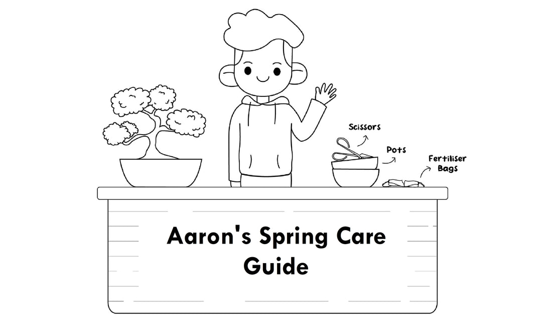 Aaron's Spring Care Guide