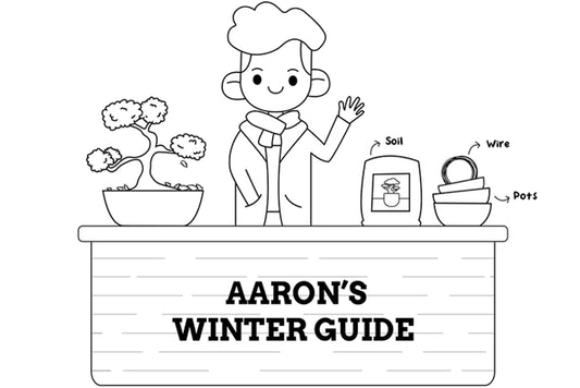 Aaron's Winter Care Guide