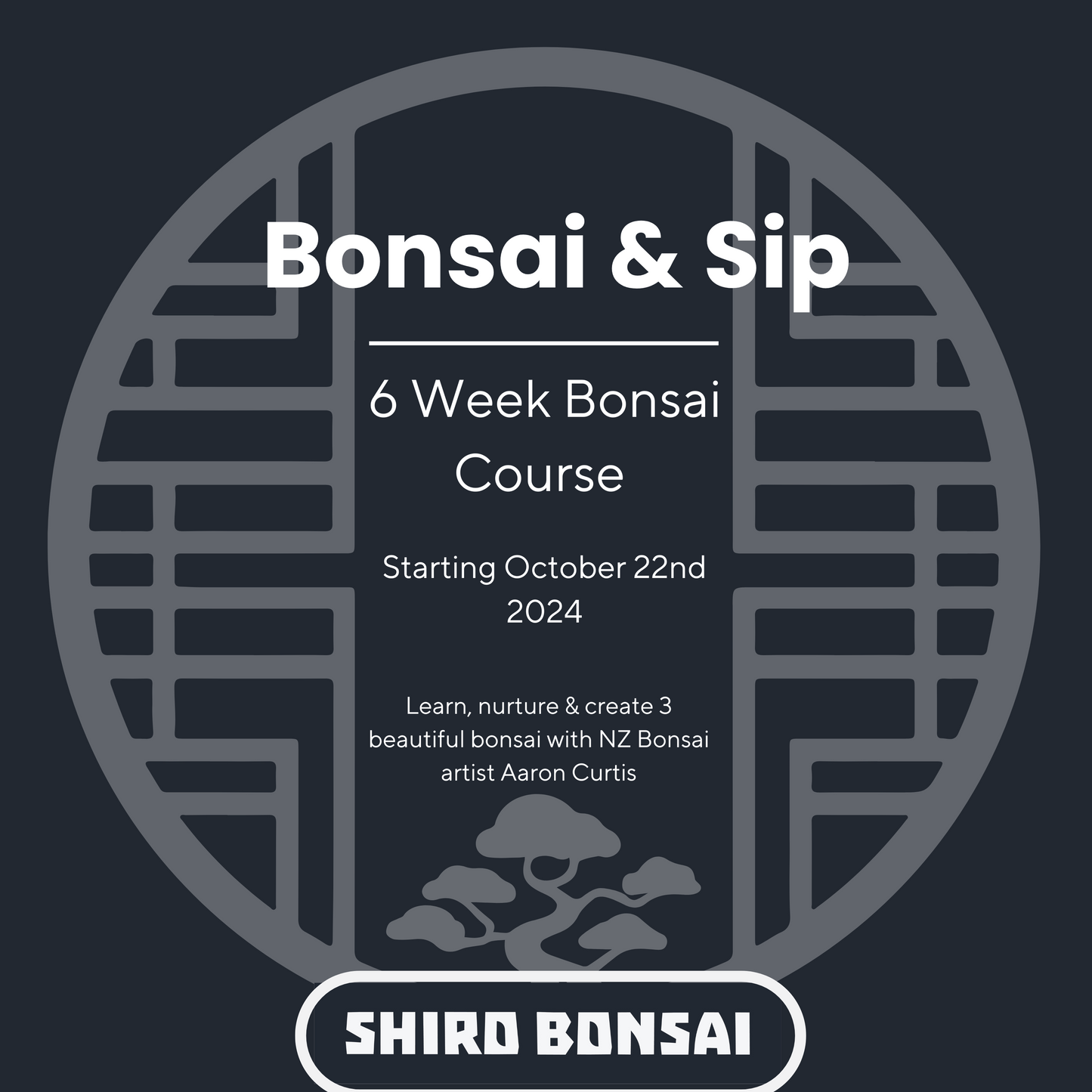 6 Week Beginners Bonsai Course - Starting October 22nd