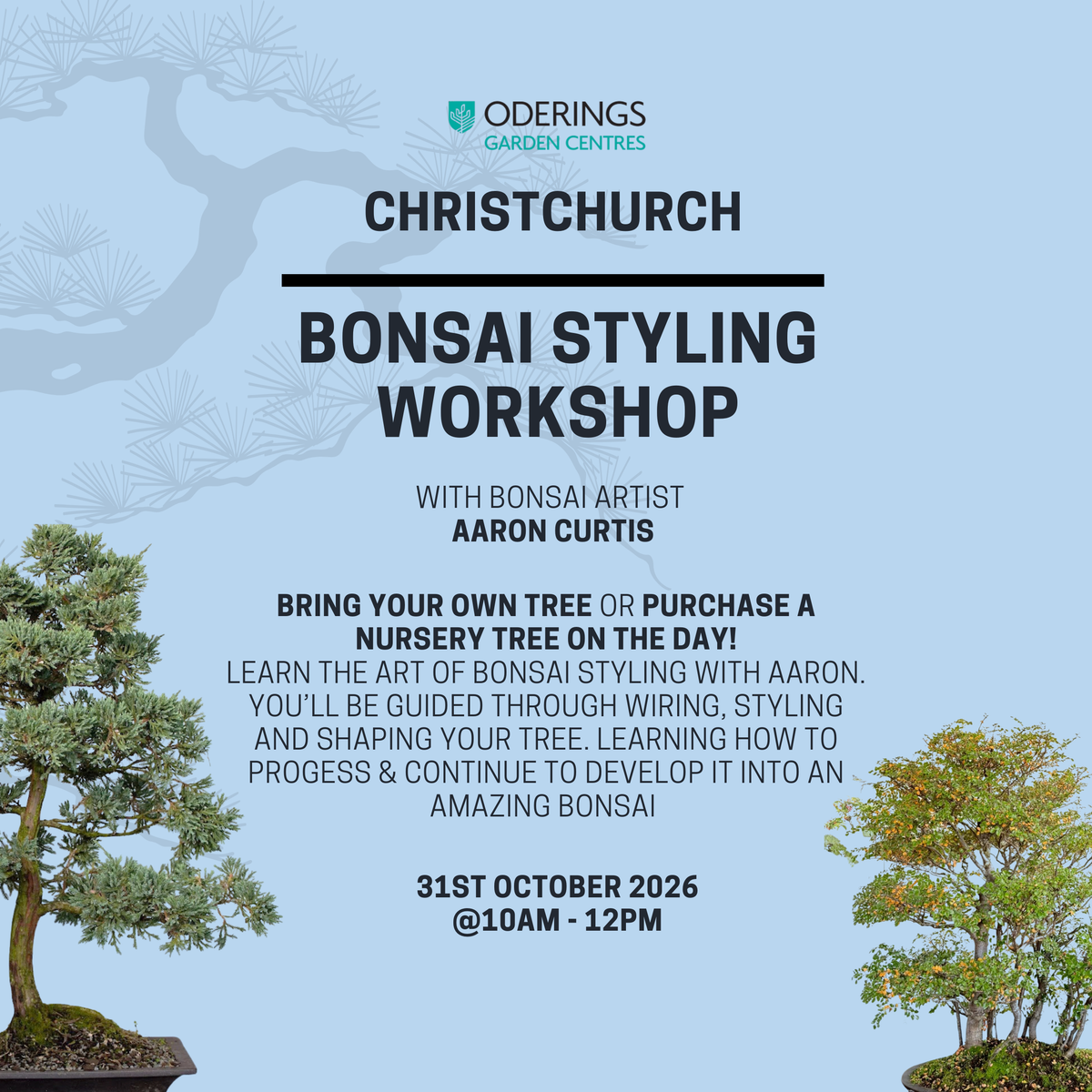 CHRISTCHURCH- Bonsai Styling-Workshop- 31st October @10am