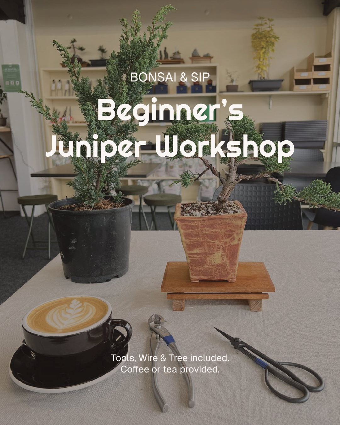 Beginners Juniper Workshop- WEEKLY
