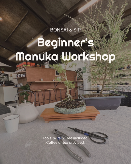 Beginners Manuka Workshop SOLD OUT