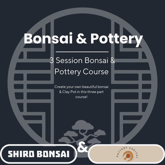 Bonsai & Pottery Course 16th November