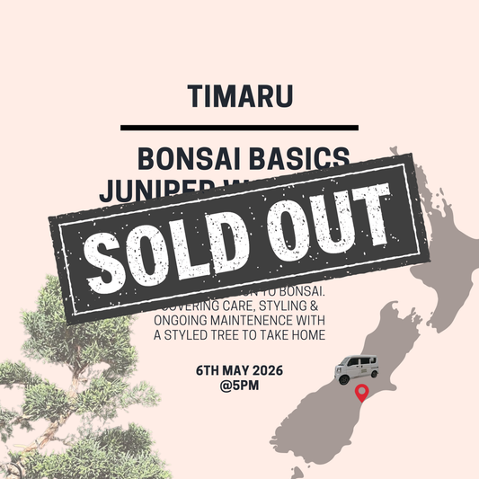 Timaru - Bonsai Basics Juniper Workshop- 6th May