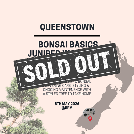 Queenstown - Bonsai Basics Juniper Workshop- 8th May
