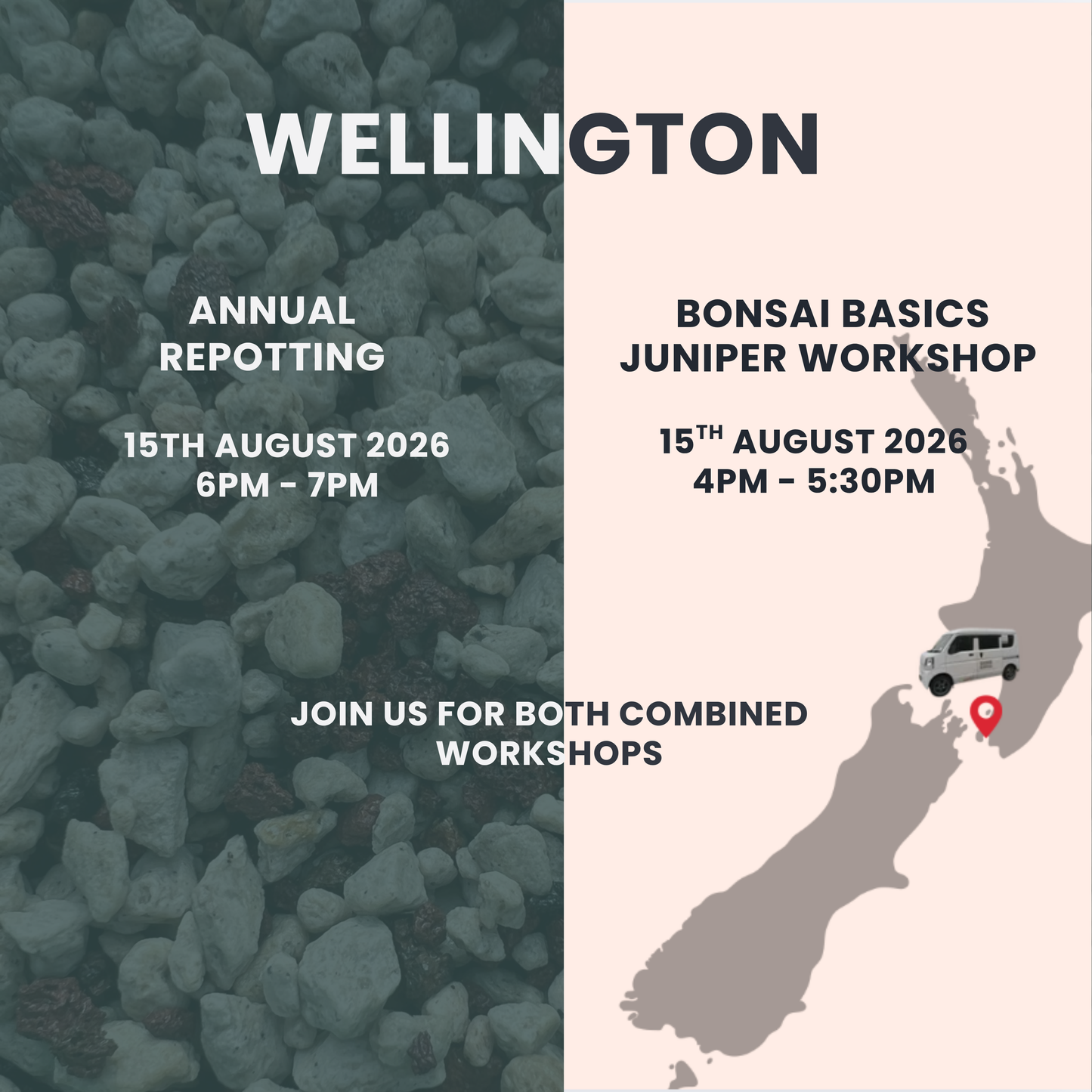 Wellington - Bonsai Basics Juniper Workshop- 15th August @4pm