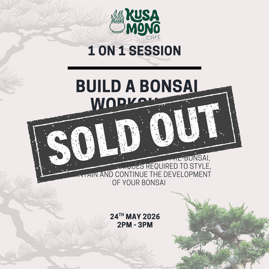 Build a Bonsai Workshop 24th May @ 2pm