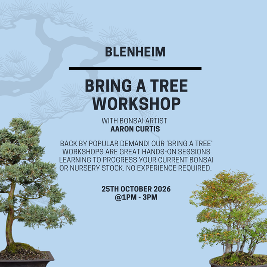 BLENHEIM- Bring a Tree Workshop- 25th October @1pm
