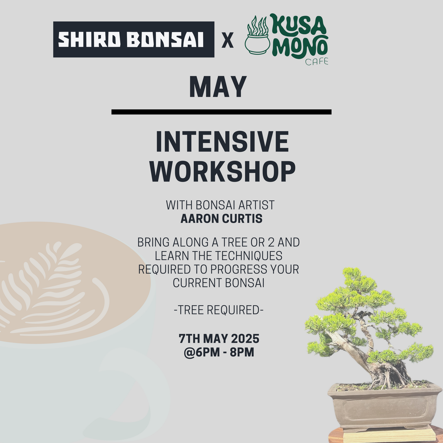 Bonsai Intensive Workshop - 7th May