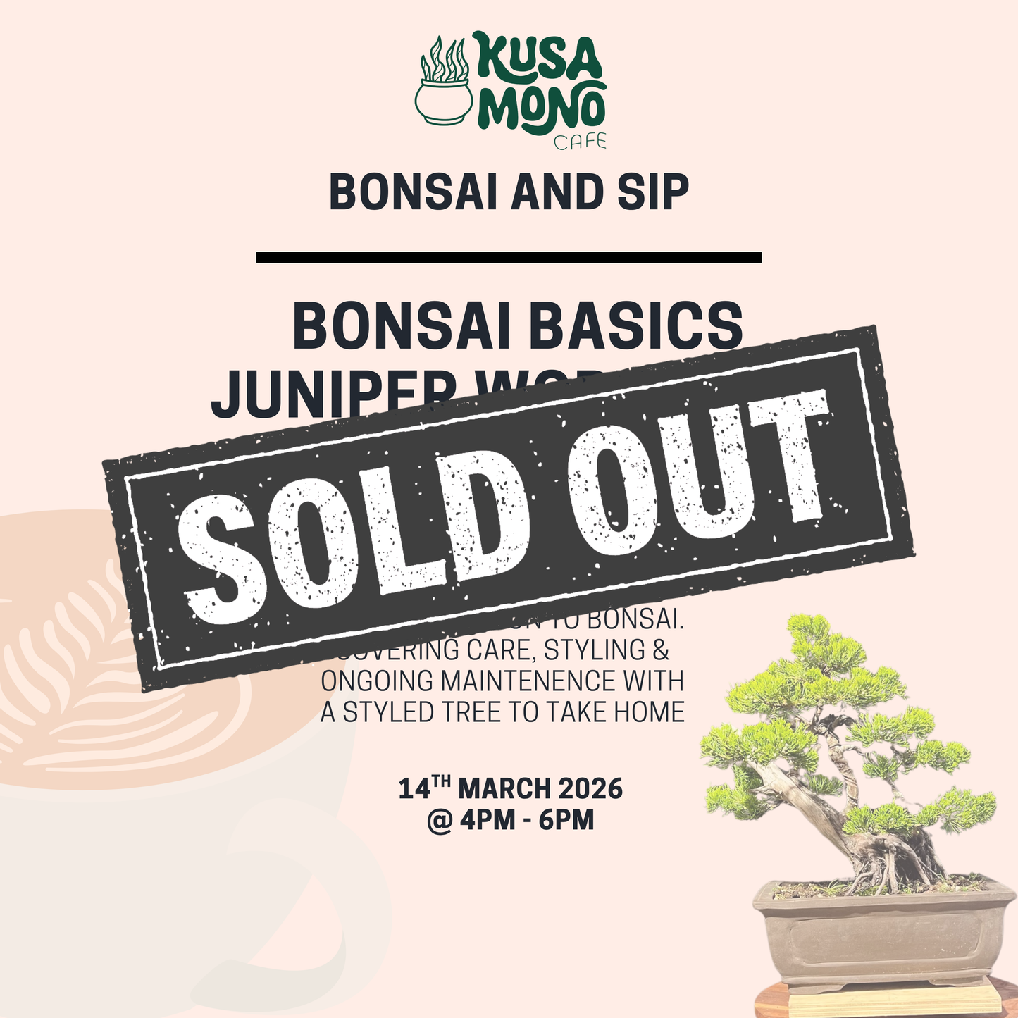 Bonsai Basics Juniper Workshop- 14th March