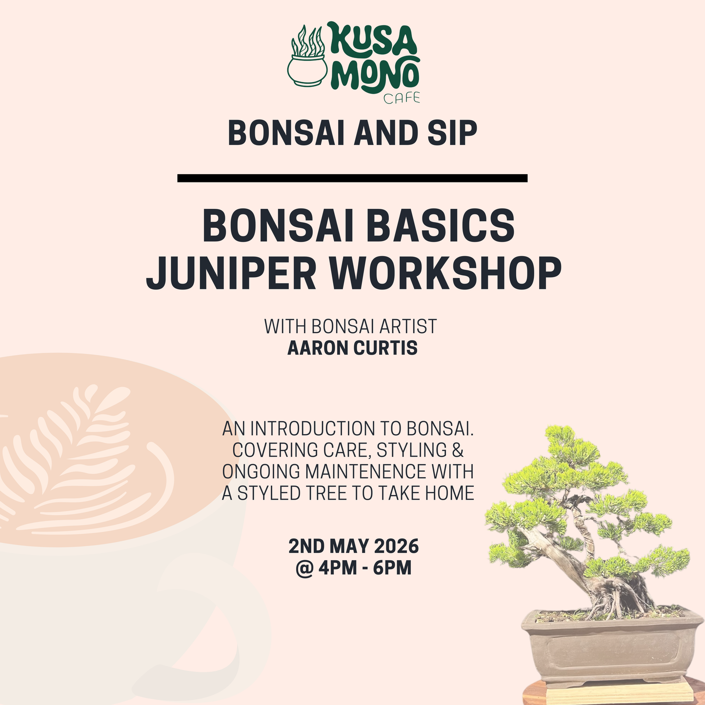 Bonsai Basics Juniper Workshop- 2nd May
