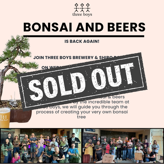 Three Boys - Two Part Bonsai Workshop - 3rd & 10th June