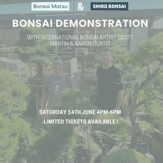 Bonsai Demo with Scott Martin