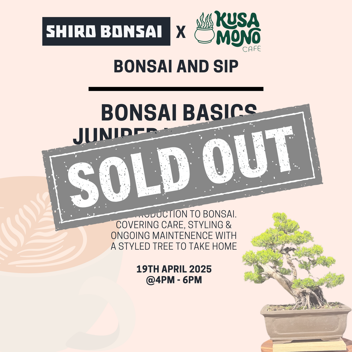 Bonsai Basics Juniper Workshop- 19th April