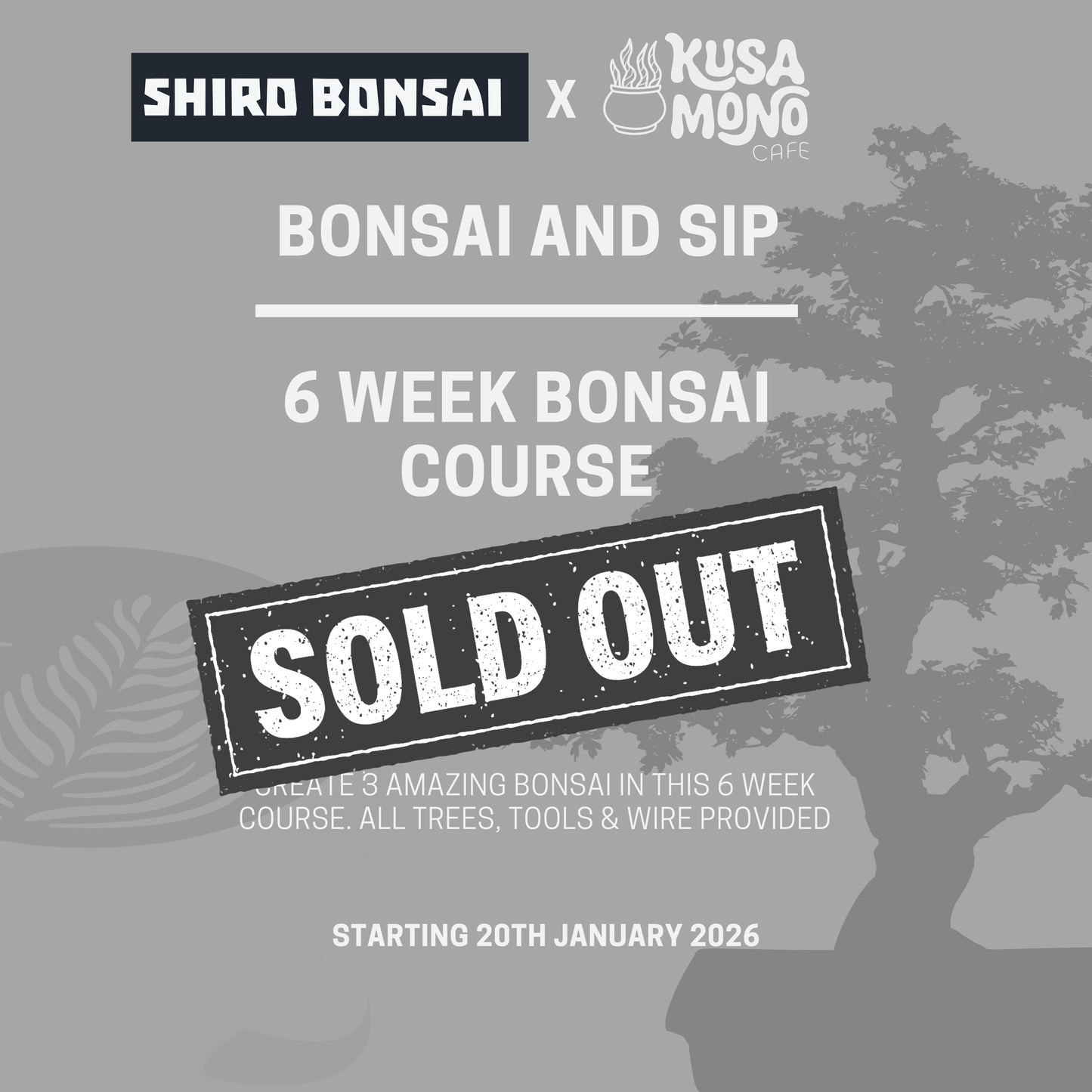 6 Week Beginners Bonsai Course - Starting 20th January 2026