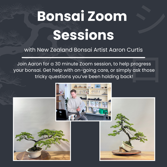 Online Zoom Workshop -30min