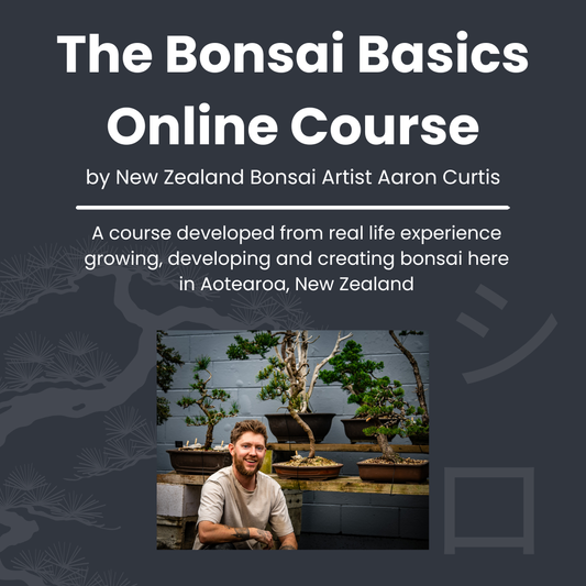 The Bonsai Basics Online Course