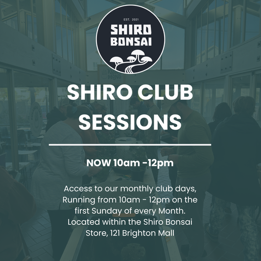 Shiro Club Sessions
