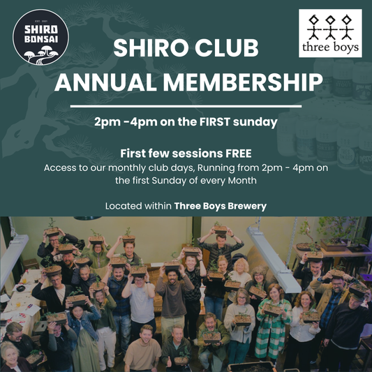 Shiro Club Annual Membership