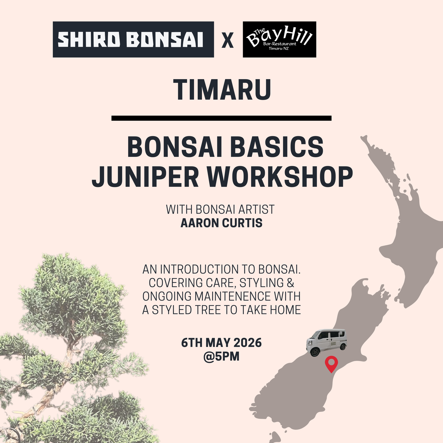Timaru - Bonsai Basics Juniper Workshop- 6th May