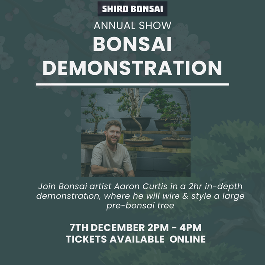 Bonsai Styling Demonstration - 7th December