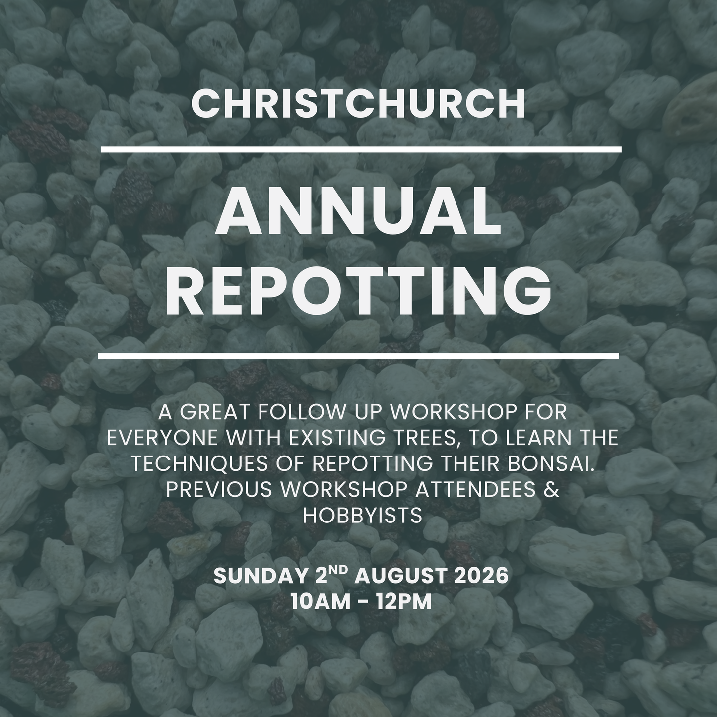 Christchurch - Annual Repotting Workshop - August 2nd 2026