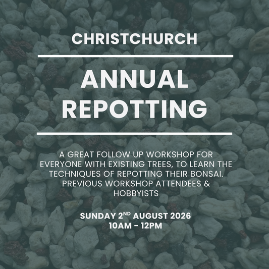 Christchurch - Annual Repotting Workshop - August 2nd 2026