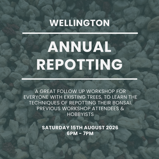 Wellington - Annual Repotting Workshop - August 15th @ 6pm