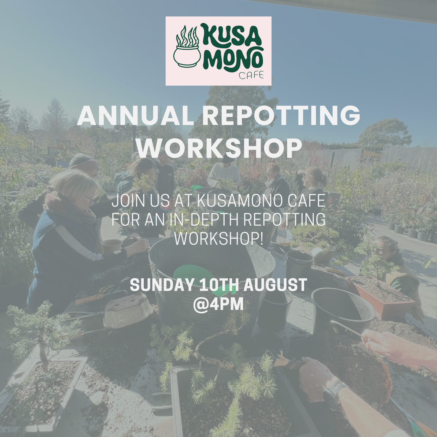 Annual Repotting Workshop - August 10th 2025