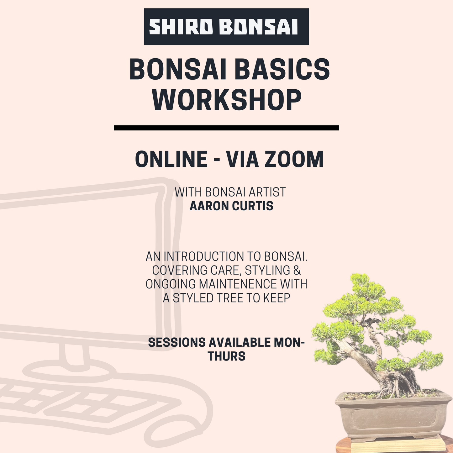 Beginners Juniper Workshop - Online