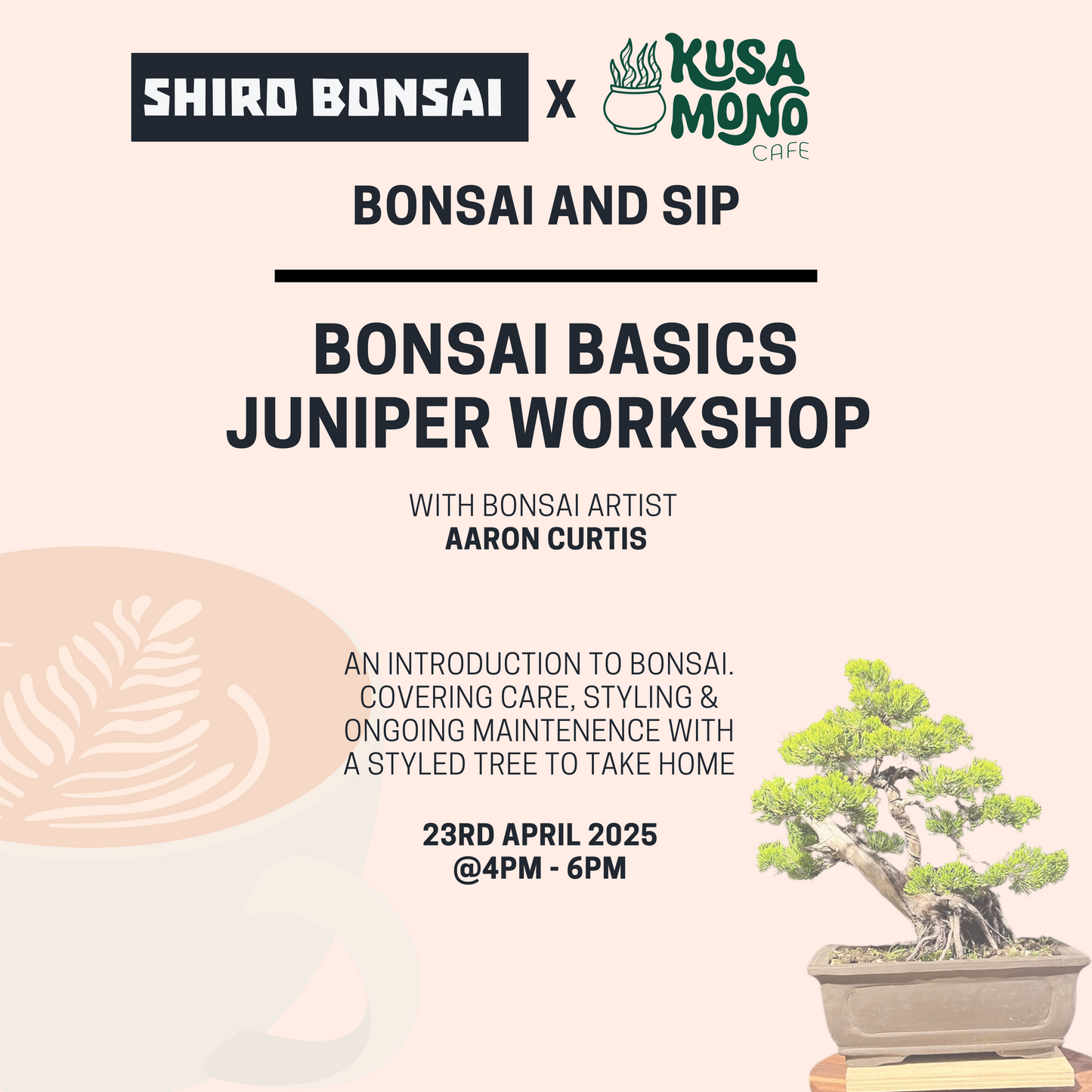 Bonsai Basics Juniper Workshop- 23rd April