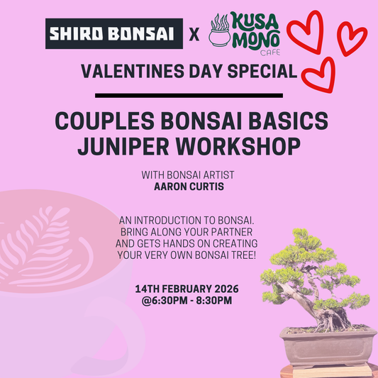Valentines Day Bonsai Workshop- 14th February 6:30pm