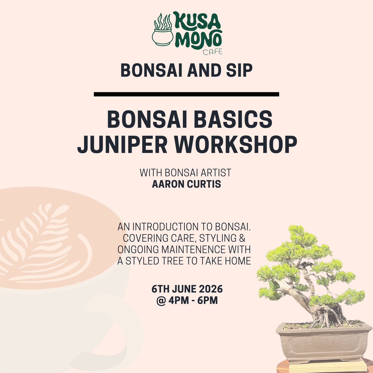 Bonsai Basics Juniper Workshop- 6th June 4pm