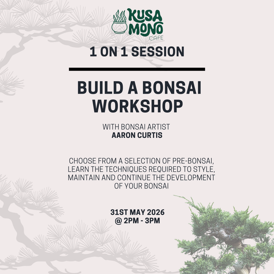 Build a Bonsai Workshop 31st May @ 2pm