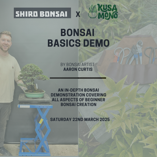 Bonsai Basics with Aaron - 22nd March